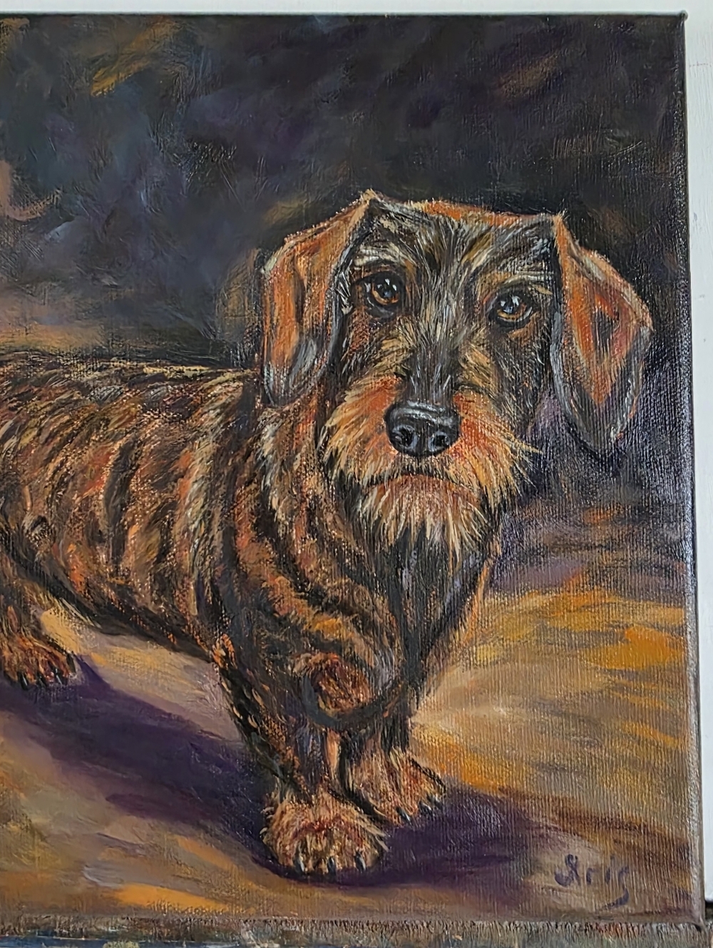 Abstract oil Painting cute dog, Wirehair Dachshund.